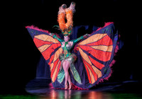 Entertainment Shows